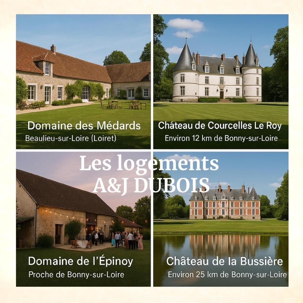 Вілла A&J Family - Neuvy Sur Loire - Guedelon Екстер'єр фото
